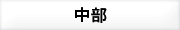 中部