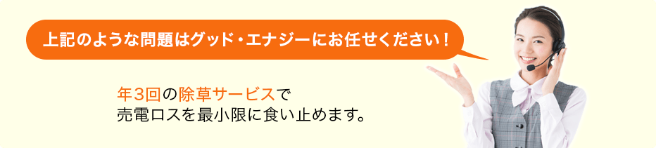 上記のような問題はグッド・エナジーにお任せください！年3回の除草サービスで売電ロスを最小限に食い止めます。