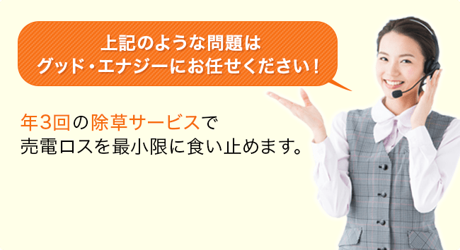 上記のような問題はグッド・エナジーにお任せください！年3回の除草サービスで売電ロスを最小限に食い止めます。