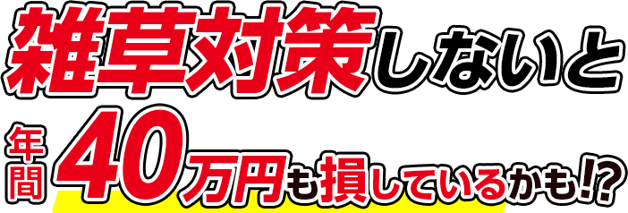 雑草対策しないと年間40万円も損しているかも!?
