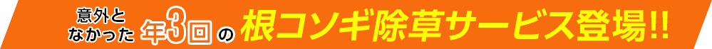 意外となかった年3回の根こそぎ除草サービス登場!!