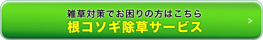 雑草対策でお困りの方はこちら 根コソギ除草サービス