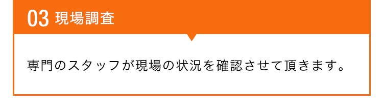 現場調査